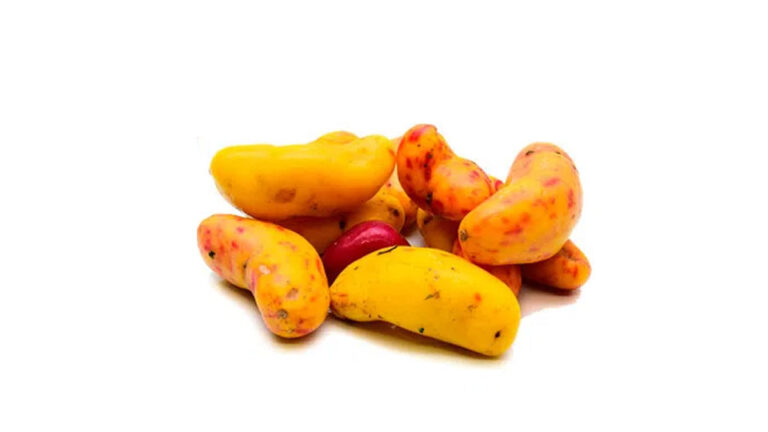 olluco peruano