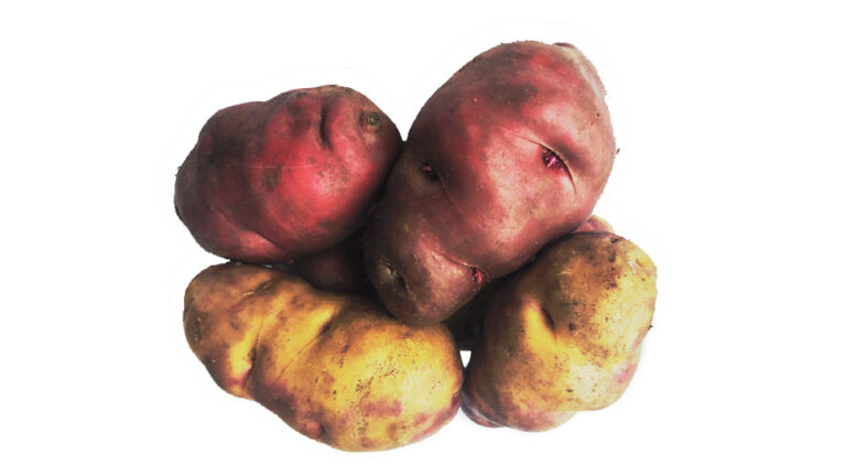 papa huayro peruana