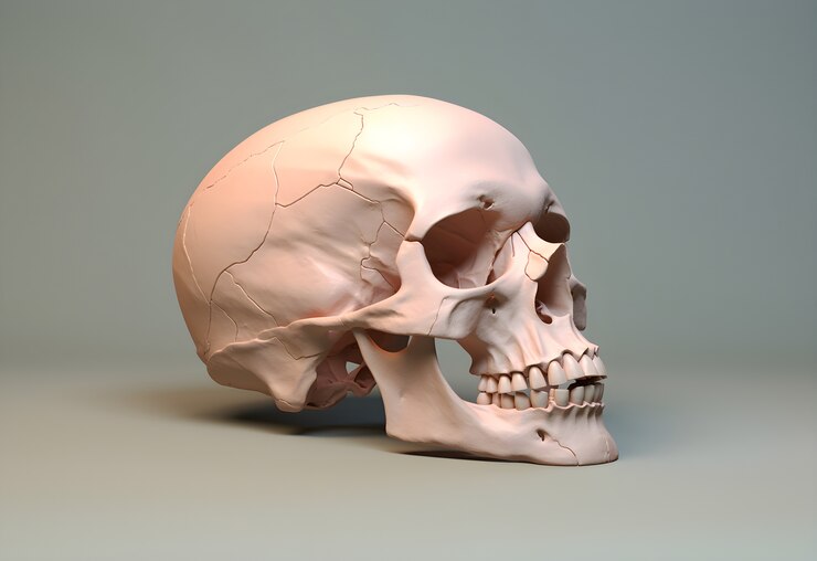calaveras protectoras