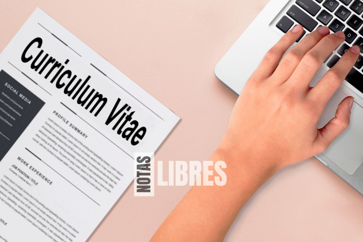 curriculum vitae sin experiencia