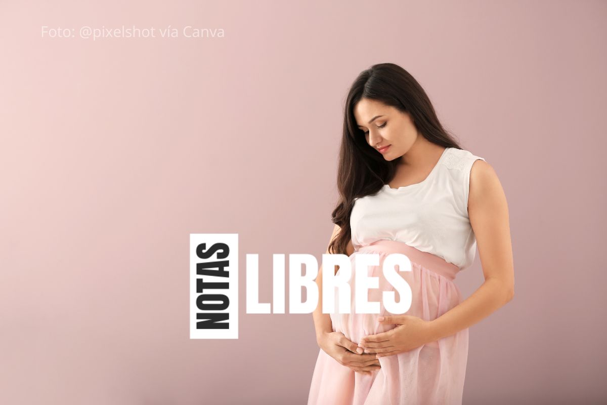 cosas prohibidas en el embarazo