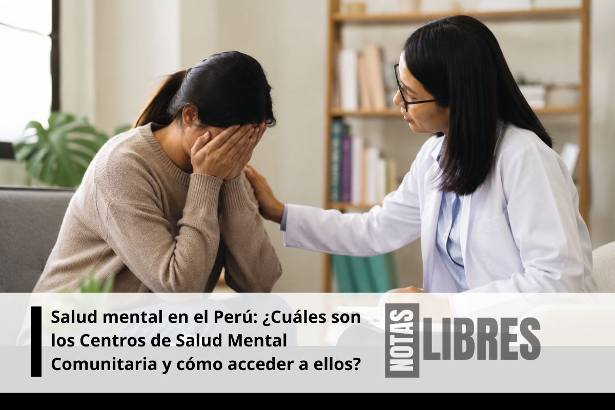 Salud mental en el Perú: ¿Cuáles son los Centros de Salud Mental Comunitaria y cómo acceder a ellos?