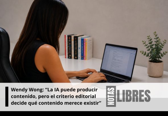 consultora SEO EDITORIAL